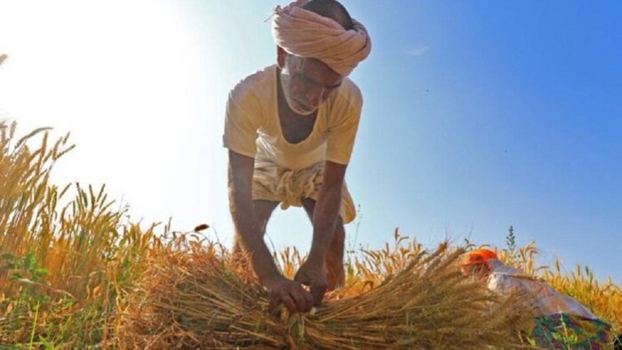 पैनल ने कहा छोटे किसानों के साथ खेतिहर मजदूर ज्यादा प्रभावित हैं.