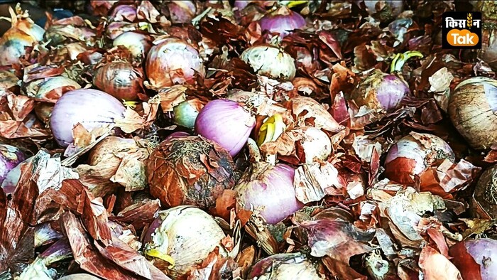 एनसीसीएफ क्यों बेच रहा है इतना खराब प्याज?