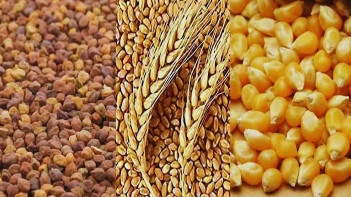 किस फसल की वैरायटी है वरदान