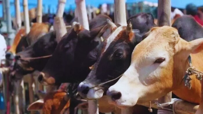 पशुपालकों के लिए खुशखबरी