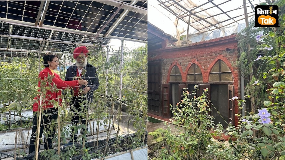 पॉल्यूटेड दिल्ली के बीच इस घर का AQI महज 10-15 के बीच, इन पौधों का है कमाल  पॉल्यूटेड दिल्ली के बीच इस घर का AQI महज 10-15 के बीच, इन पौधों का है कमाल