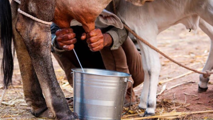 महिलाओं की भागीदारी बढ़ाने के लिए भी सीएम योगी का निर्देश.