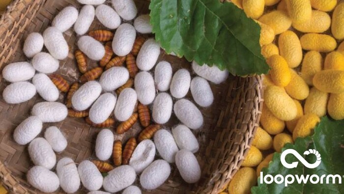 कंपनी के सीईओ ने कहा कि हम पालतू जानवरों और पशु आहार में टिकाऊ पोषण की बढ़ती मांग को पूरा करने के लिए उत्सुक हैं.