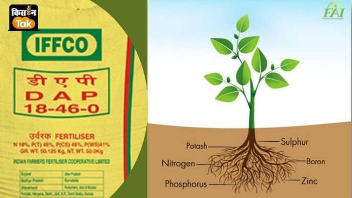 यूरिया का आयात 34 फीसदी तो डीएपी का आयात 29 फीसदी घट गया है.