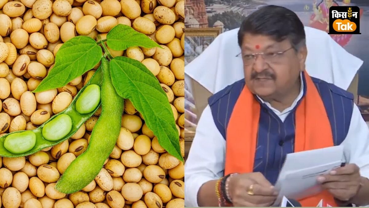 सोयाबीन खरीद की धीमी गति ने बढ़ाई परेशानी, 40 दिन में केवल 2 लाख टन ही हो सकी सरकारी खरीद