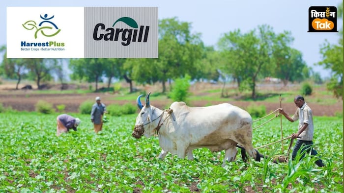 हार्वेस्टप्लस इंडिया कंट्री मैनेजर ने कहा कि न्यूट्रीहार्वेस्ट प्रोजेक्ट कुपोषण से निपटने के हमारे लक्ष्य की दिशा में बड़ा कदम है.