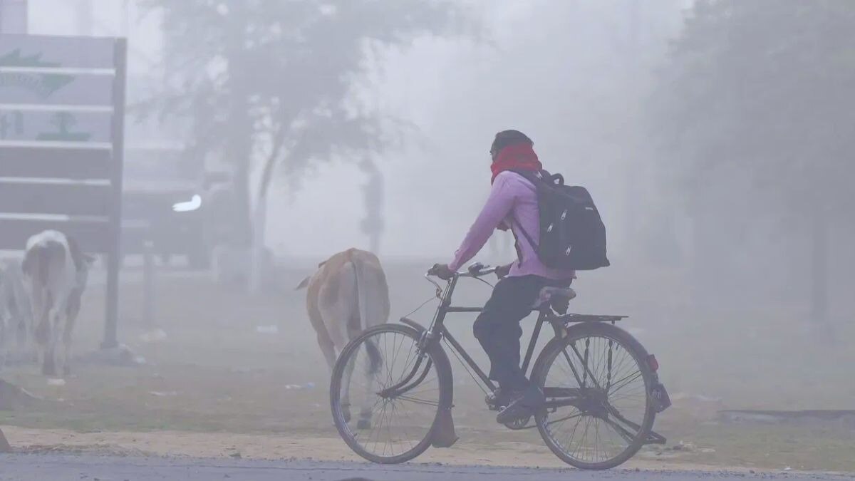 इस हफ्ते के अंत में कोहरा, दिसंबर मध्य तक शीतलहर, मौसम विभाग ने जारी किया पूर्वानुमान