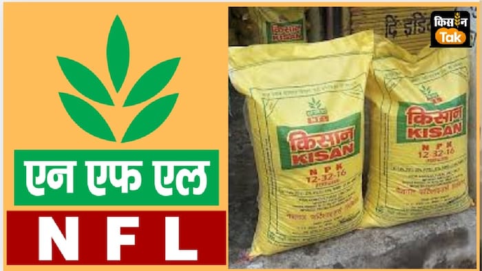 एनएफएल ने कहा है कि पंजाब में उर्वरकों की कोई कमी नहीं है.