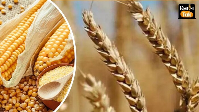 सरकार नेचुरल फार्मिंग को बढ़ावा देने के उद्देश्य के तहत 36 हजार और किसानों को इससे जोड़ेगी.