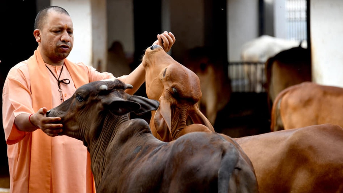 यूपी के साथ बिहार और नेपाल के पशुपालकों का मिलेगा लाभ