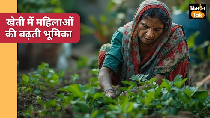 महिलाएं अब खेतों में ज्यादा समय दे पा रही हैं.