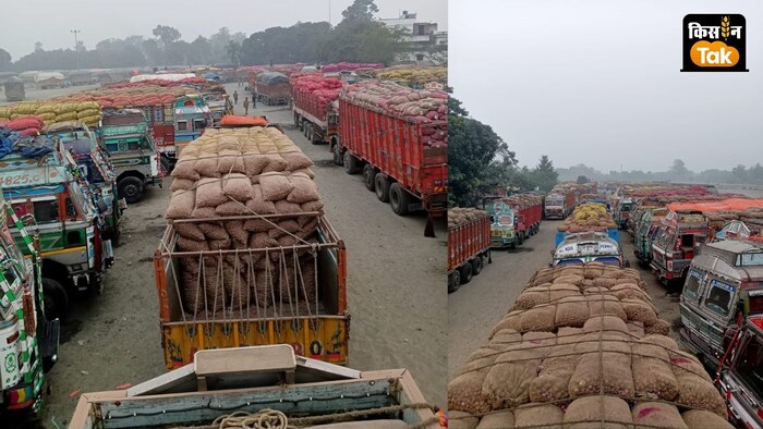 राज्य सरकार ने 27 नवंबर को निर्यात खोल दिया है.