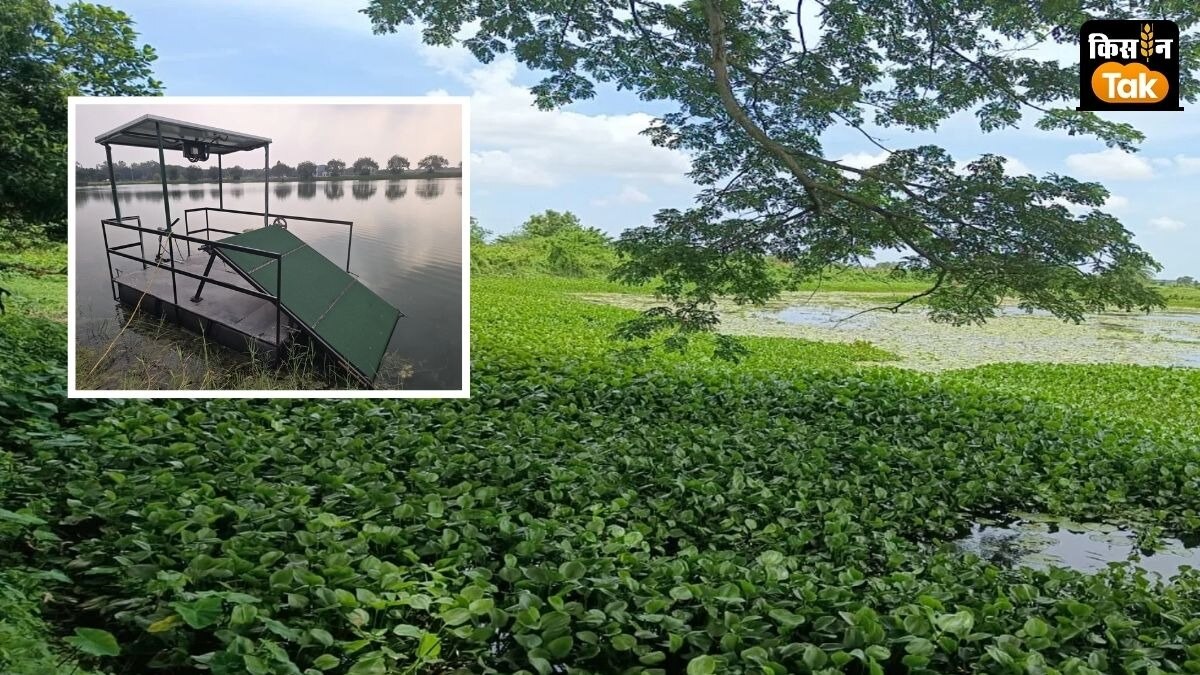 बड़े काम का है ICRISAT का सोलर एनर्जी से चलने वाला हार्वेस्टर, कचरे को खाद और मछली चारा बनाने में मददगार