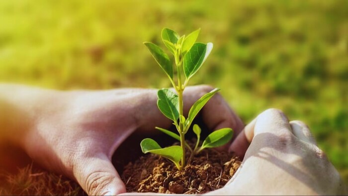 जैविक खेती