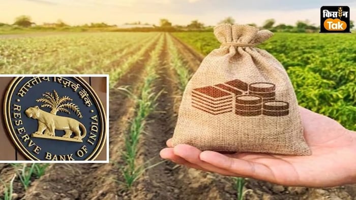 भारतीय रिजर्व बैंक ने कौलैटरल फ्री लोन की रकम को बढ़ाकर 2 लाख रुपये कर दिया है.