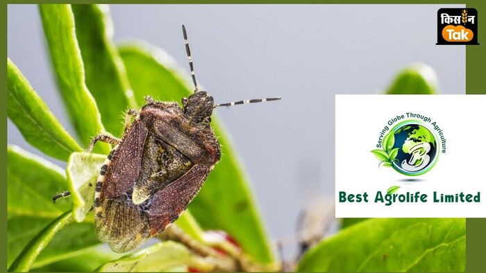 बेस्ट एग्रोलाइफ को कीटनाशक फॉर्मूलेशन के लिए पेटेंट मिला है.
