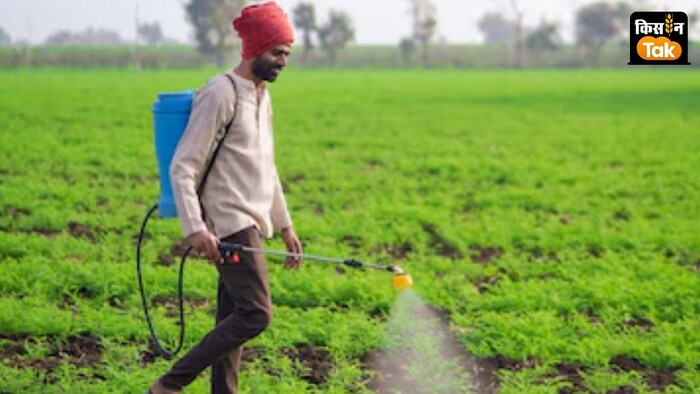 2016 के बाद से अक्टूबर, नवंबर और दिसंबर महीने सबसे सूखे दर्ज किए गए.