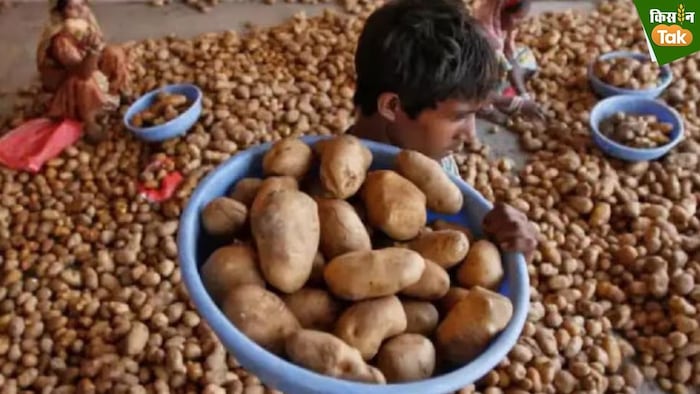 पश्चिम बंगाल जरूरत वाले राज्यों को हर हफ्ते 2 लाख टन आलू देगा.