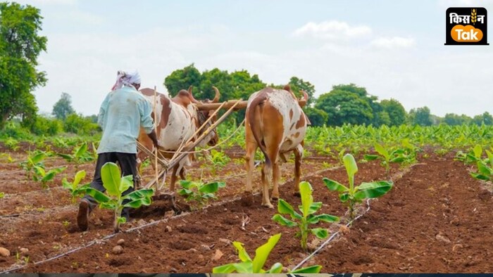 देश के 7 शिक्षा संस्थानों को प्राकृतिक खेती को बढ़ावा देने की जिम्मेदारी मिली है.