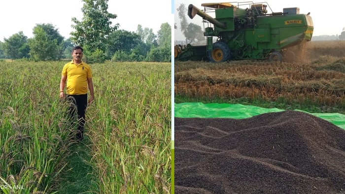 गोंडा जिले के बभनजोत निवासी किसान डॉ. अनिल श्रीवास्तव (Photo-Kisan Tak)