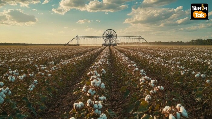 भारतीय कपास संघ (CAI) ने केंद्र से 500 करोड़ रुपये का बजट जारी करने की मांग की है.