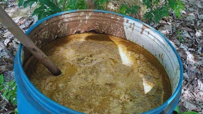 घर पर बनाएं जीवामृत