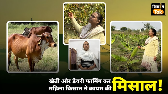 खेती के साथ बड़े स्तर पर गोपालन भी कर रहीं सूफिया खानम