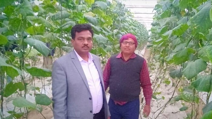 Farmer Ramji Dubey Mirzapur