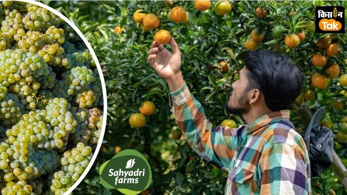 फल-सब्जी सप्लाई चेन श्यादरी फार्म्स को 390 करोड़ रुपये की फंडिंग मिली है.