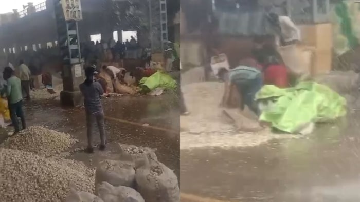 मंदसौर मंडी में रखी लहसुन बर्बाद.