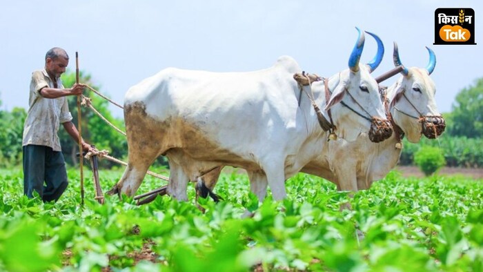स्थितियों को नियंत्रित करने के लिए नई टिकाऊ खेती तकनीक पर फोकस किया जा रहा है.