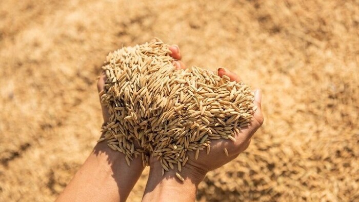 मौसम खराब रहने की स्थिति में धान की सरकारी खरीद की अंतिम तिथि को बढ़ाने का भी फैसला लिया जाएगा.