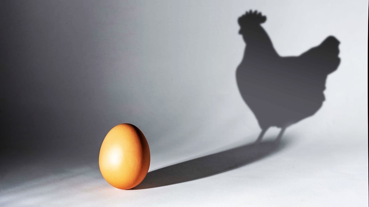 Egg or chicken