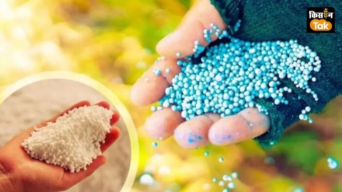 खाद को लेकर किसानों का फूटा गुस्सा