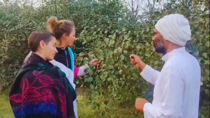 कश्मीरी ऐपल बेर की खेती