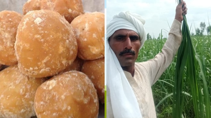 मेरठ के किसान सुनील ने प्राकृतिक विधि से गुड़ बनवाना शुरू किया.