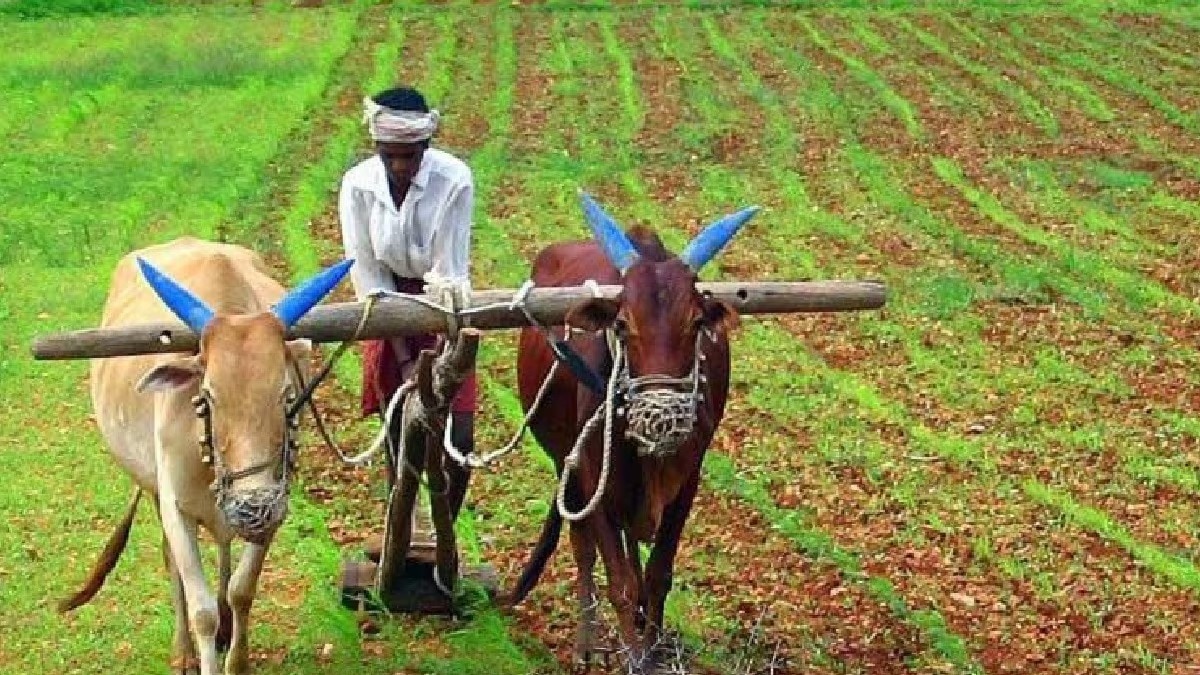 SKM ने एग्री मार्केटिंग पॉलिसी ड्राफ्ट को निरस्त कृषि कानूनों से ज्यादा खतरनाक बताया, हरियाणा के टोहाना में बैठक 