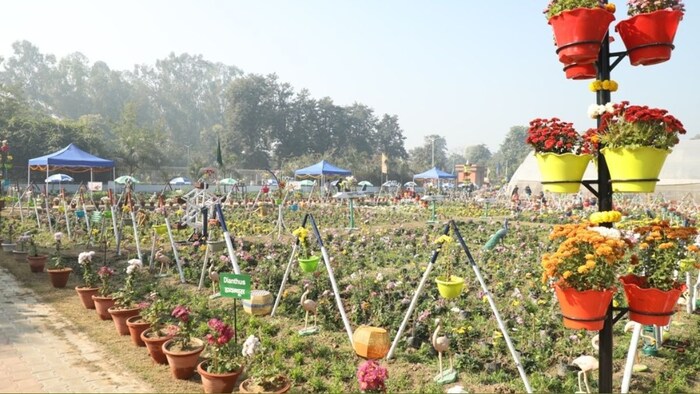 पौधों को नर्सरी में तैयार करके के किसानों को उपलब्ध कराया जाएगा.