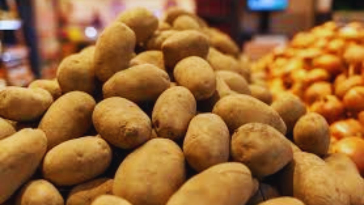 अंबाला के किसानों को बड़ी राहत, मोहरा मंडी में शुरू हुई आलू की खरीद और बिक्री, नहीं जाना पड़ेगा दूर