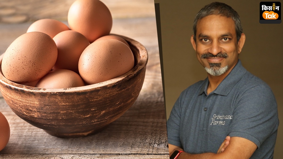 Poultry Egg: आने वाले इस साल में देश को हर रोज 160 करोड़ अंडों की होगी जरूरत, जानें वजह