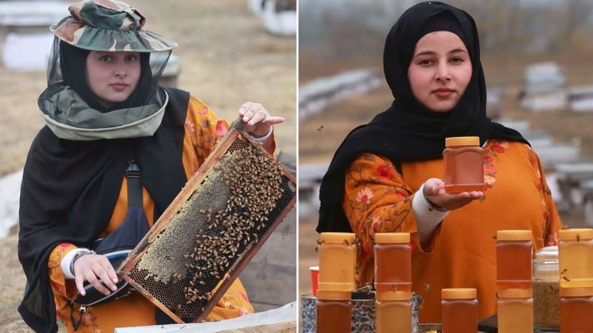 Saniya Zehra, Beekeeper