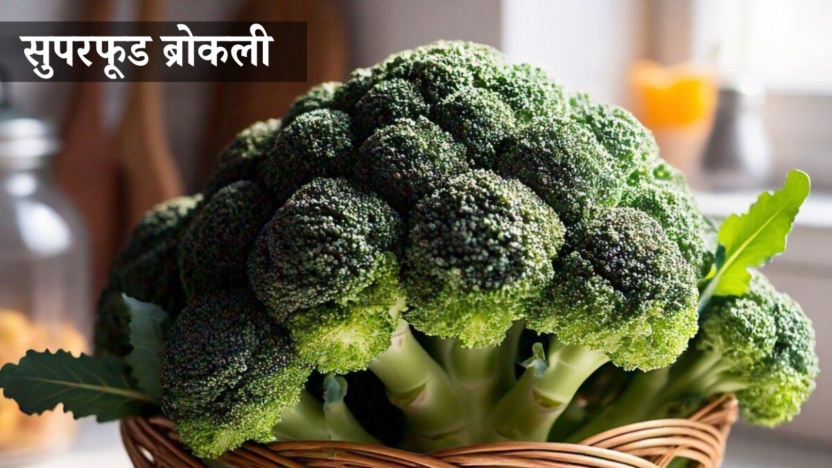 न्यूट्रिशन का भंडार है ब्रोकली, जानिए कैसे उगा सकते हैं घर में