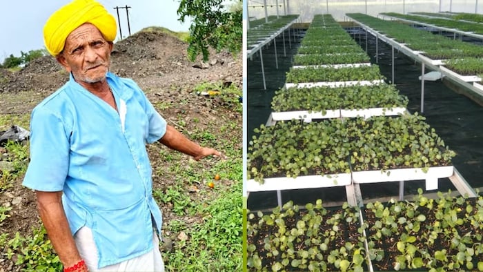 यूपी में किसानों की आय दोगुनी करने का लक्ष्य