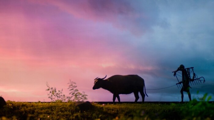 पीएम किसान के लिए नए आवेदकों को देनी होगी यूनिक आईडी.