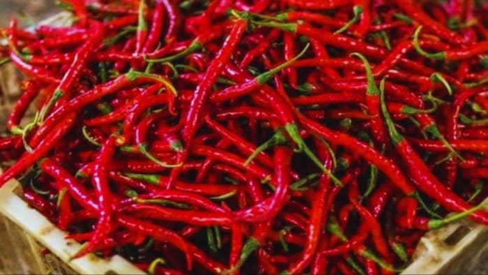 लाल मिर्च की कीमतों में गिरावट