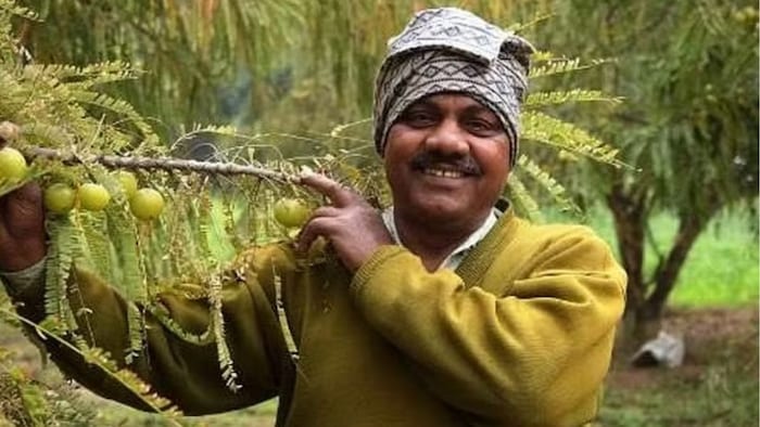 Amar Singh (Photo: Social Media)