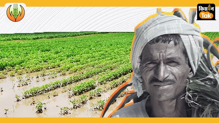 यूपी समेत कुछ राज्यों में फसल बीमा में रजिस्ट्रेशन के लिए 2 दिन बचे हैं.