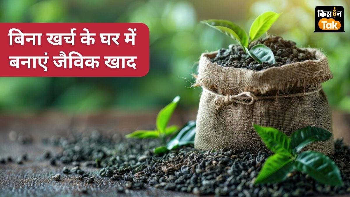 स्टडी में कहा गया है कि रासायनिक खादों से उत्पादन प्रभावित हो रहा.