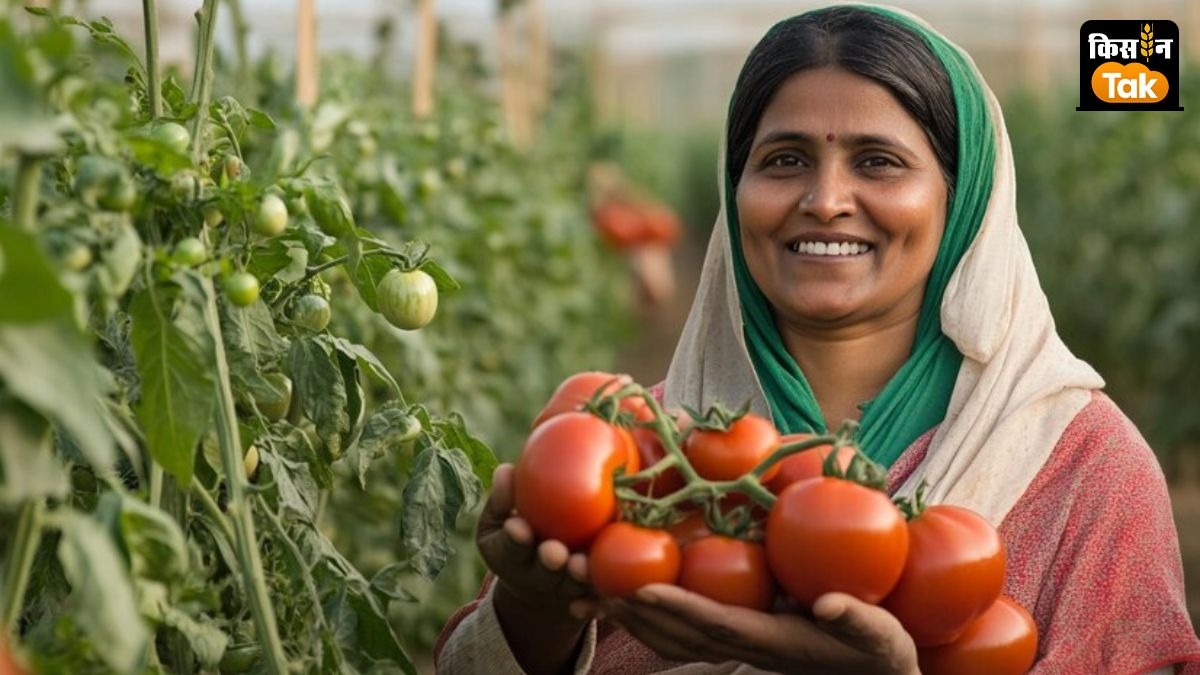 खेती करने वाली महिलाओं के लिए यूपी सरकार बनाएगी FPO, घर से उत्पाद बिक्री सुविधा के साथ ज्यादा कीमत मिलेगी 
