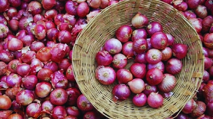 प्याज के भाव में गिरावट